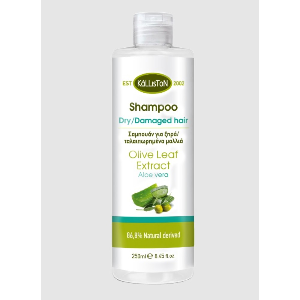 Kalliston Shampoo for dry/damaged hair with aloe vera Kalliston Shampoo for dry/damaged hair with aloe vera