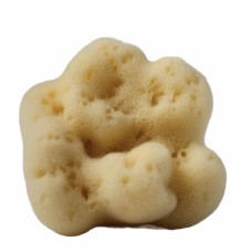 Fine silk sponge white 