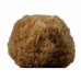 Natural Honeycomb sponge brown 